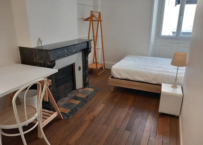 Beau T3 Avec Jardin Hyper Centre Proche Gare Angers